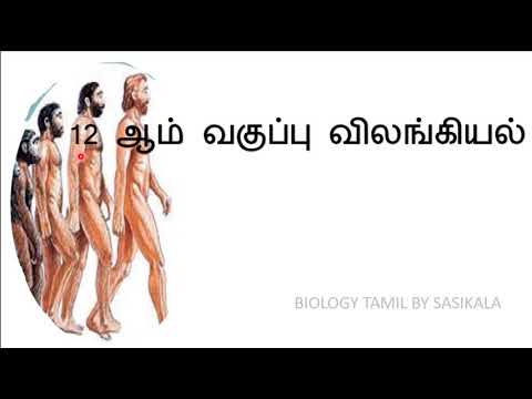 12 ஆம் வகுப்பு விலங்கியல் - பரிணாமம் புத்தக வினாக்கள் IN  BIOLOGY TAMIL BY SASIKALA