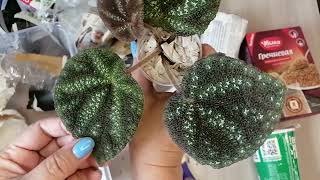 видео: Очередная посылочка 🤩🌺Дорогие природные бегонии 🔥 картинка: Очередная посылочка 🤩🌺Дорогие природные бегонии 🔥