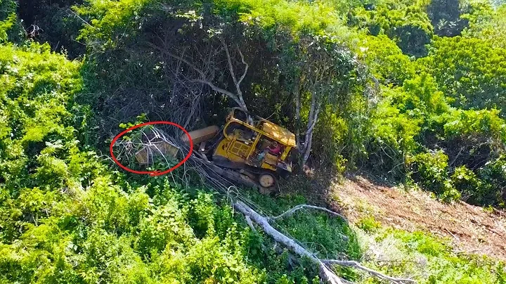 The most amazing bulldozer videos, Caterpillar D6R XL Working Hard Opening Forest Road