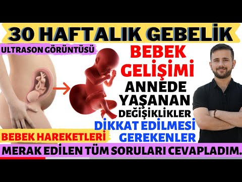 Video: 30 Hafta Hamile - Ne Bekler?