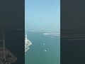 Dubai city views shorts short