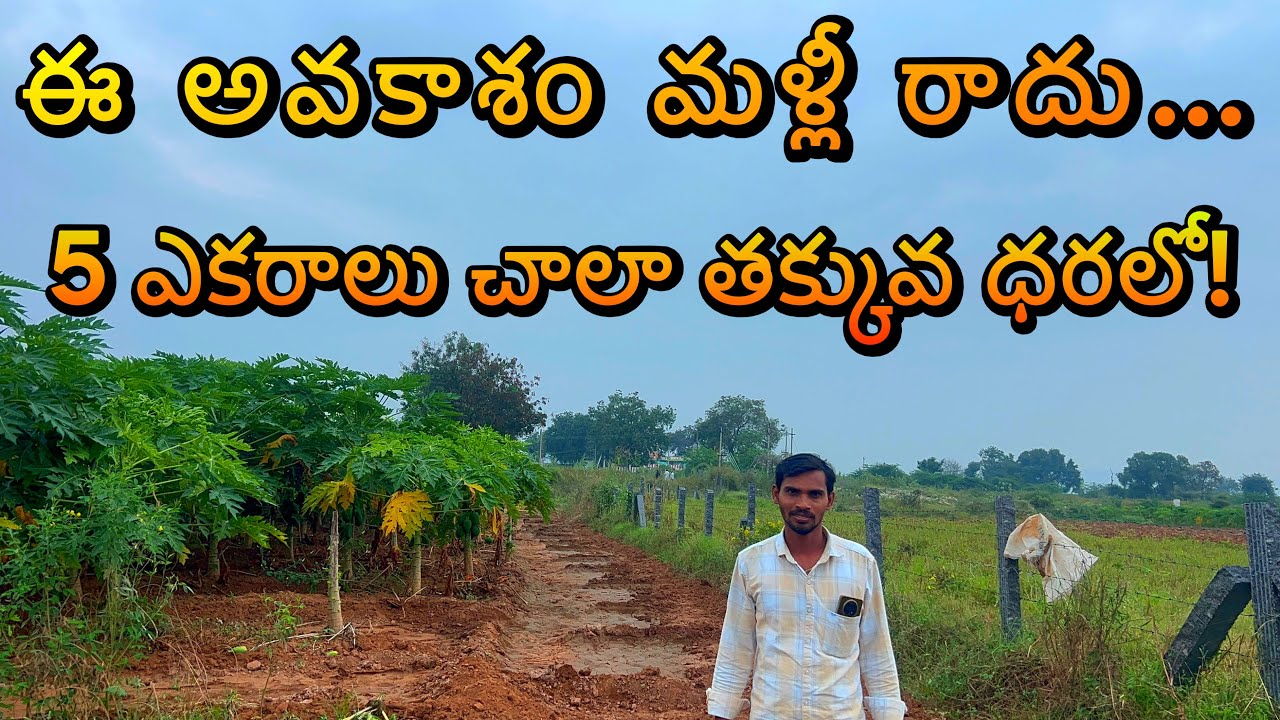 Clear title 5 across low cost budget ￼- 