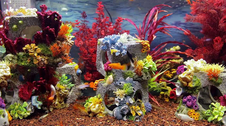 Living aquarium wallpaper ต วเต ม windows 10