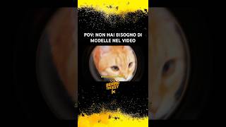 Quando hai un gatto come Strabichina 🐱 #behindthekey #keyteam #musicvlog #backstage  #gatto