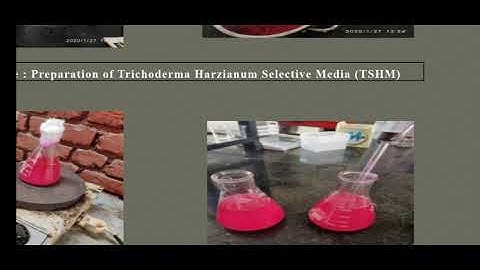 Production Technology of Biocontrol Agent : Trichoderma spp.