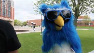 NSO 2017 OA Welcome Video