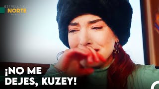 Yıldız Lucha Por La Supervivencia De Kuzey - Estrella Del Norte Primer Amor