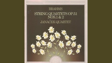 String Quartet No. 2 in A Minor, Op. 51 No. 2: IV. Finale. Allegro non assai