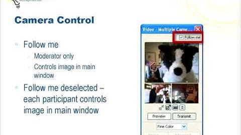 USING MULTIPOINT VIDEO