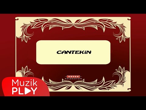 Fırtınadır Eser Gönül - Cantekin