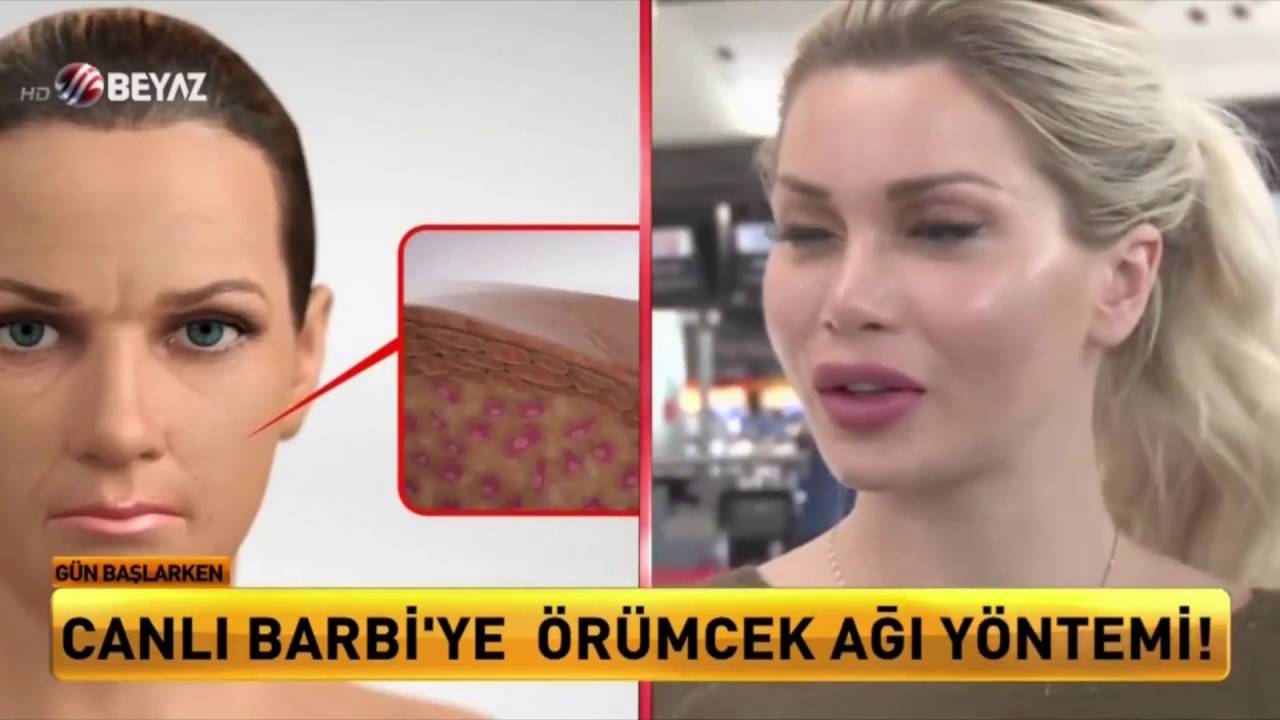 Örümcek Ağı Estetiği Örümcek Ağı Estetiği