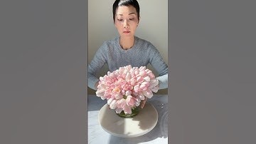 120 tulips in 1 vase