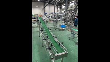 Maxsen incline belt conveyor line system testing video #conveyorsystem #customized #conveyordesign
