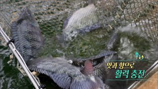 전국을 달린다 / KBS대전 20210412 방송 [다시보기]