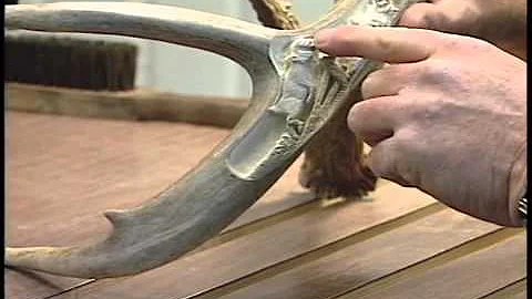 Show 1934 Bob Mowery Antler Art / Michigan Trail R...