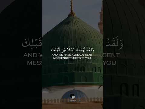 ولقد أرسلنا رسلا من قبلك وجعلنا لهم أزواجا وذرية وما كان لرسول أن يأتي بآية بصوت يوسف الصقير