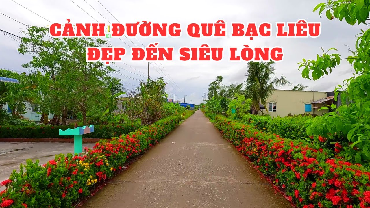Khám phá xã Long Điền Đông A Huyện Đông Hải Bạc Liêu