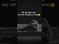 কেউ খুঁজতে ব্যাস্ত আর কেউ পুরনো তে আসক্ত 🥹❤️‍🩹 #song #arijitsingh #love #viral #broken06