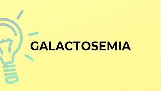 What is the meaning of the word GALACTOSEMIA