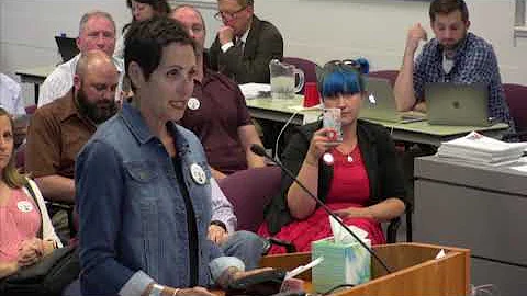 DCSD BOE Meeting: June 4, 2019 - Randi Allison