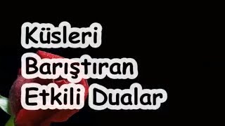 Küsleri Barıştıran Etkili Dualar