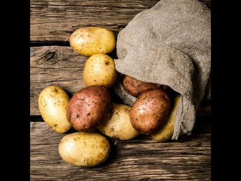 Video: Droge Phoma Rot Van Aardappelen