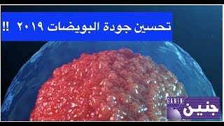 تحسين جودة البويضات في 3 أسابيع : تحديث 2019