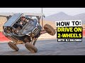 Driving on Two Wheels?? BJ Baldwin Teaches us How to Stunt in a Polaris RZR (and Bonus Loki Shreds!)