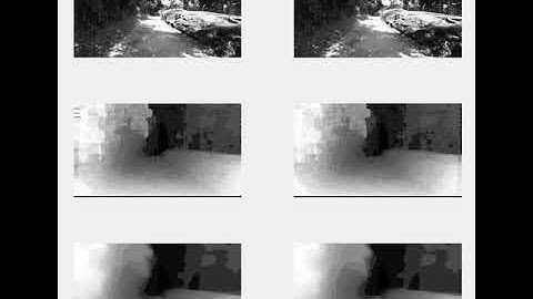 Disparity map by SGM + WLS with stereo camera