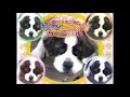 【地方CM】 2002石川県 北陸朝日放送 ふれ愛わんニャンカーニバル