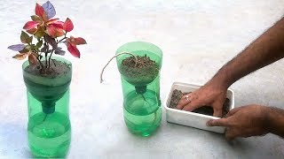 Self watering system for plants using waste plastic bottle