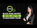 Bpm  black pearl matrix  web design hosting digital products  services