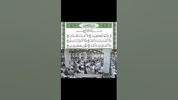 سورة الكافرون قراءة الشيخ صلاح البدير