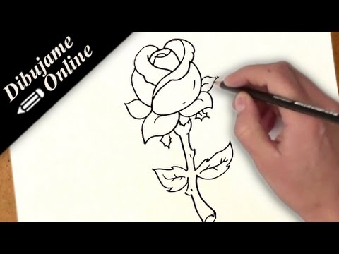 Cómo Dibujar Un Bello Y Escalonado Flor De Rosa Creación, Paso a Paso, Del  Dibujo De Lápiz Página Educativa De Artistas Ilustración del Vector -  Ilustración de cuadro, flor: 162156232