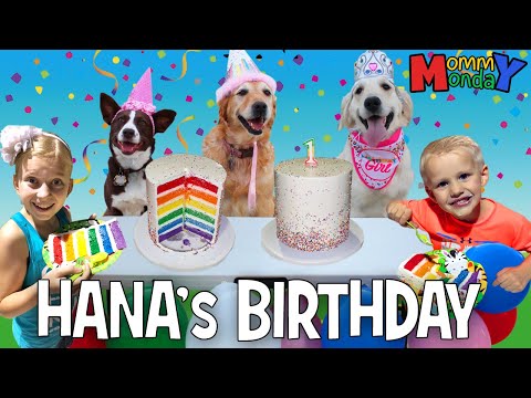 Puppy Birthday Party! 🐾🐶 || Mommy Monday