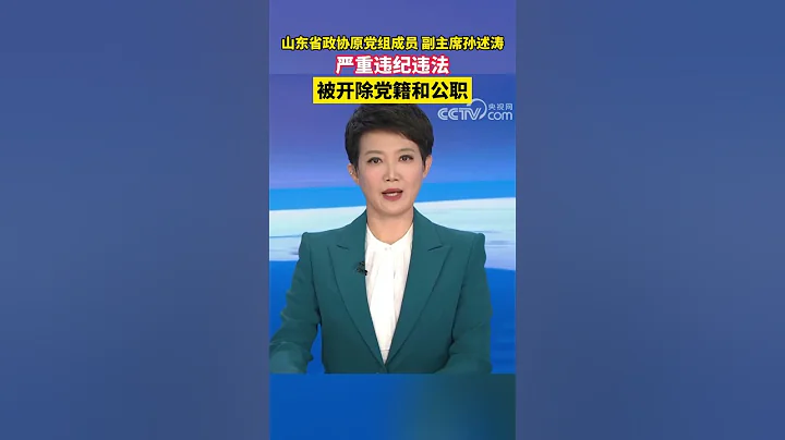 山东省政协原副主席孙述涛被双开 - 天天要闻