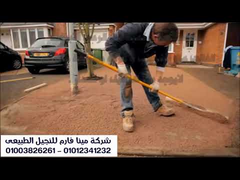 فيديو: صيانة مرج العشب: نصائح للتحكم السنوي في عشب المروج