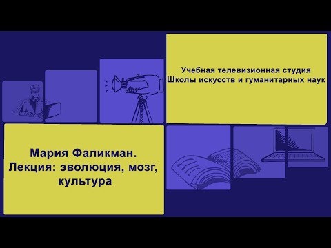 Лекция Марии Фаликман "Эволюция, мозг, культура"