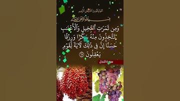 سورة النحل الآية ( 67 )