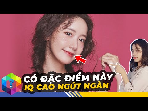 Video: Điểm của 12 ổ cắm điểm là gì?