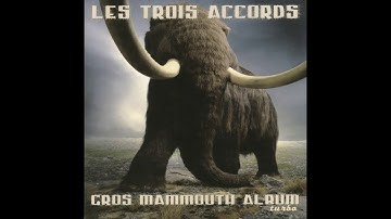 LES TROIS ACCORDS - Lucille