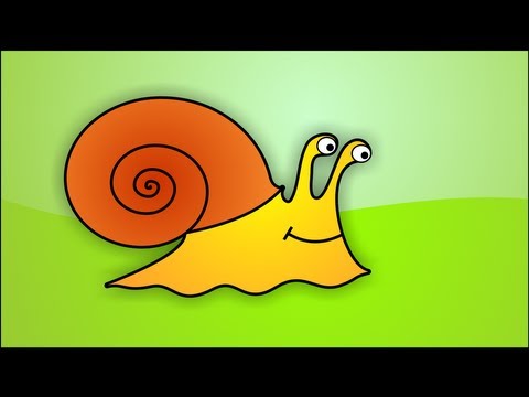 How to draw a Snail in Corel Draw (no comment)
