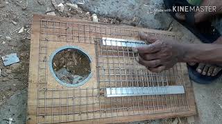 Construction of Sun Conure nesting box