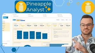 White Label AI Analyst and Dashboard for Fractional CFOs and Accountants | Pineapple Analyst (1min) Guide