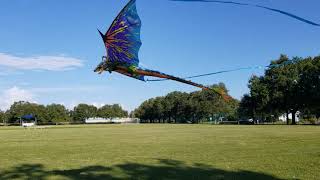 Dragon Kite RC Flyer