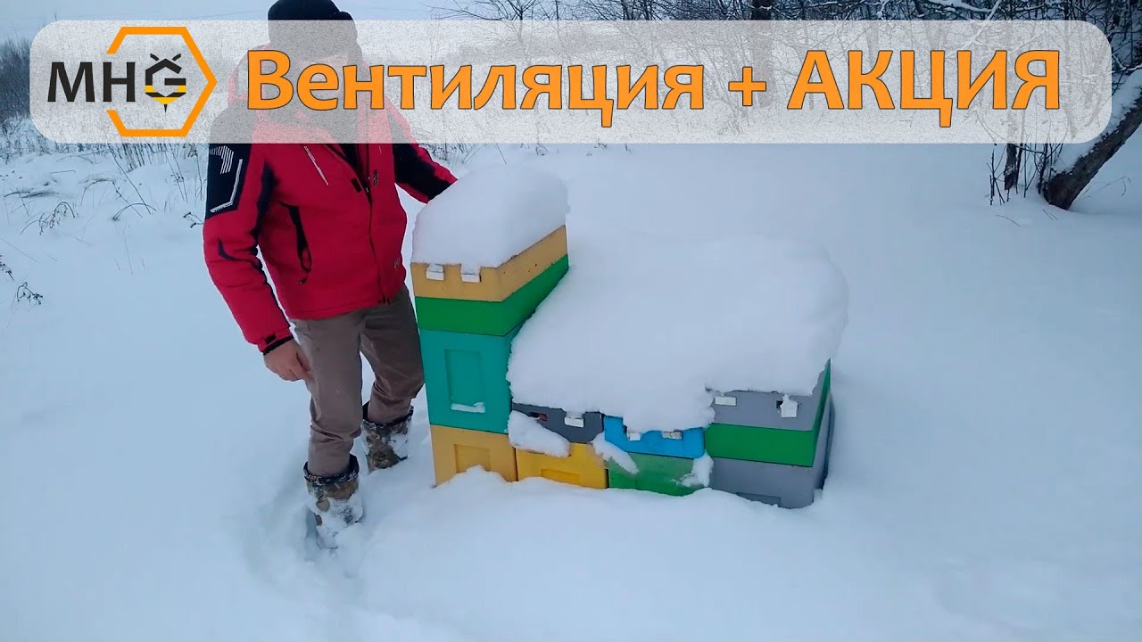Как организована вентиляция для зимовки + АКЦИЯ - YouTube