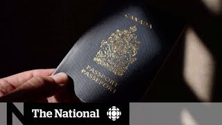 'Birth tourism' is fraudulent: former top immigration official