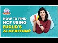 Understanding Euclid's Division Algorithm