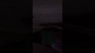 Minina Dancando Dentro De Casa Com Musica