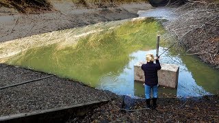 外来魚全滅。水を抜かれた池で釣りをしたら大惨事だった...【衝撃映像】